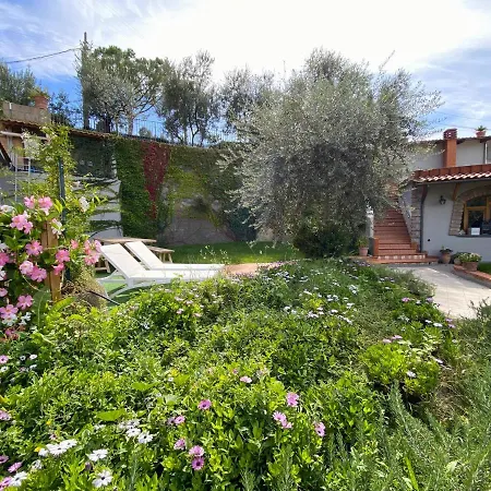 Olive - Moderno Tra Gli Ulivi Di *