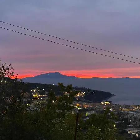 Olive - Moderno Tra Gli Ulivi Di