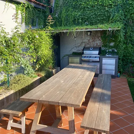 Olive - Moderno Tra Gli Ulivi Di *