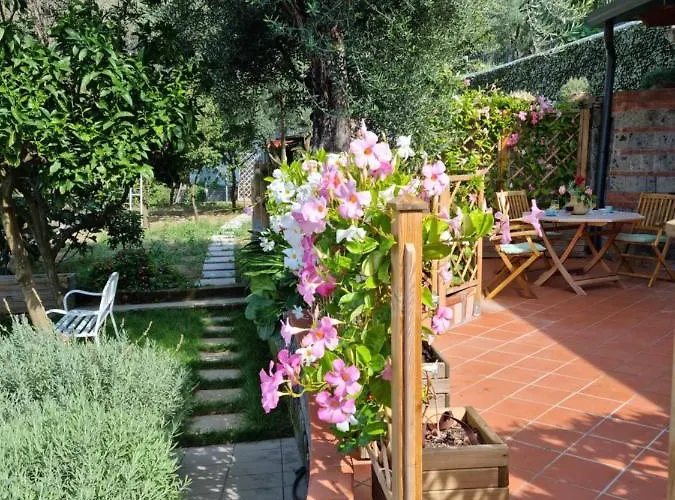 Olive - Moderno Tra Gli Ulivi Di