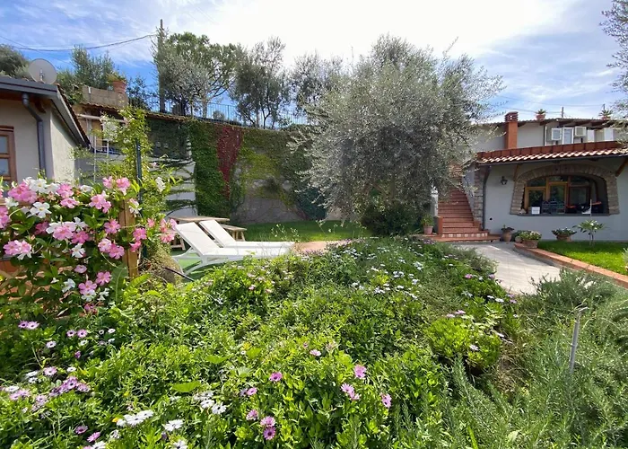 Olive - Moderno Tra Gli Ulivi Di *