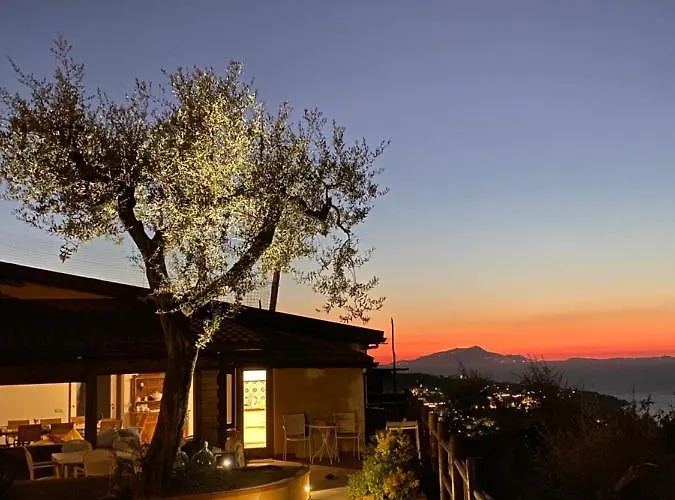 Olive - Moderno Tra Gli Ulivi Di Σπίτι διακοπών Σορέντο