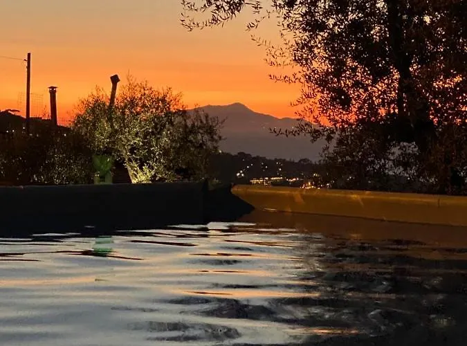 Olive - Moderno Tra Gli Ulivi Di Σπίτι διακοπών *