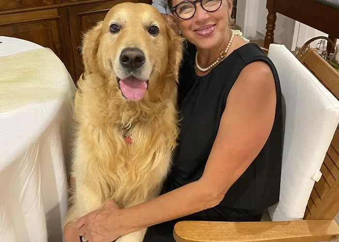 Olive - Moderno Tra Gli Ulivi Di *