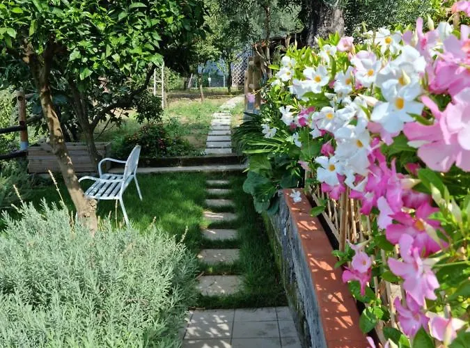 Olive - Moderno Tra Gli Ulivi Di * Σορέντο