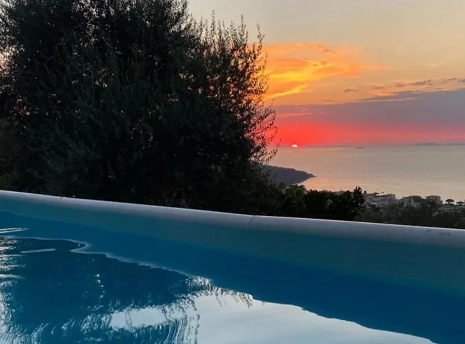 Olive - Moderno Tra Gli Ulivi Di