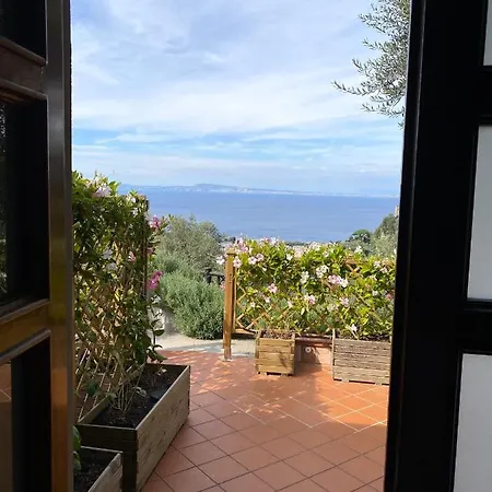 Olive - Moderno Tra Gli Ulivi Di Holiday home *