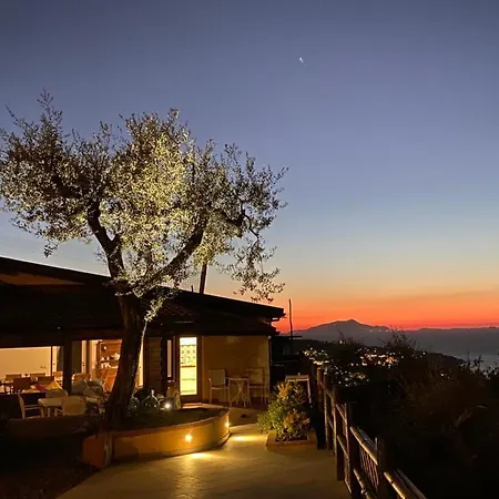 Olive - Moderno Tra Gli Ulivi Di Holiday home Sorrento