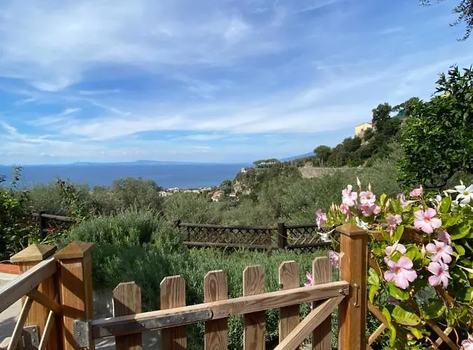 Olive - Moderno Tra Gli Ulivi Di