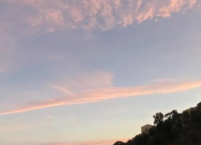 Olive - Moderno Tra Gli Ulivi Di Sorrento