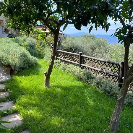 Olive - Moderno Tra Gli Ulivi Di Półwysep Sorrentyński