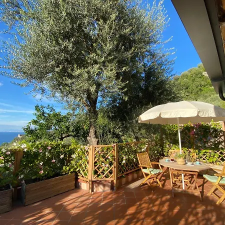 Dom wakacyjny Olive - Moderno Tra Gli Ulivi Di