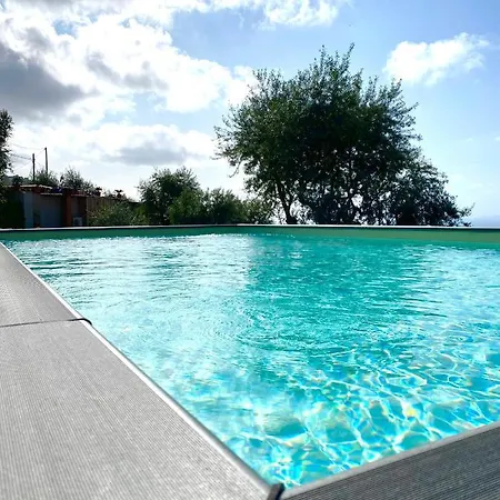 Casa vacanze Olive - Moderno Tra Gli Ulivi Di Sorrento