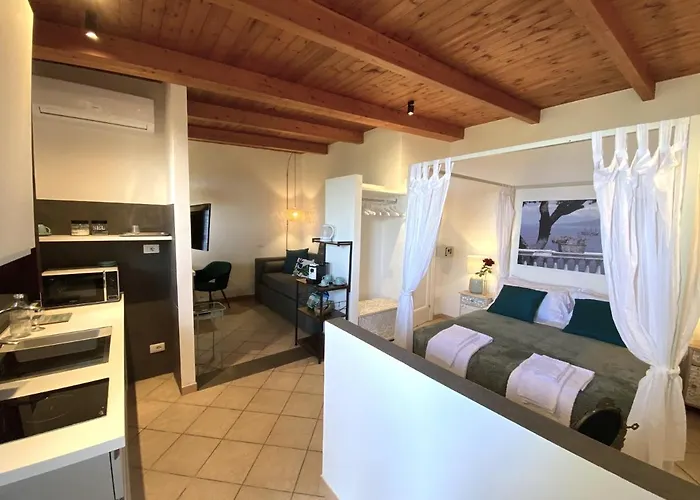 Olive - Moderno Tra Gli Ulivi Di Półwysep Sorrentyński