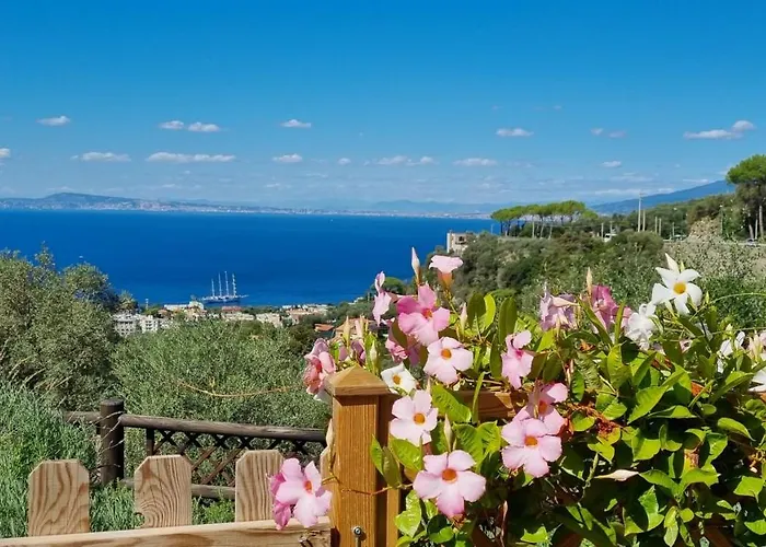 Olive - Moderno Tra Gli Ulivi Di * Półwysep Sorrentyński