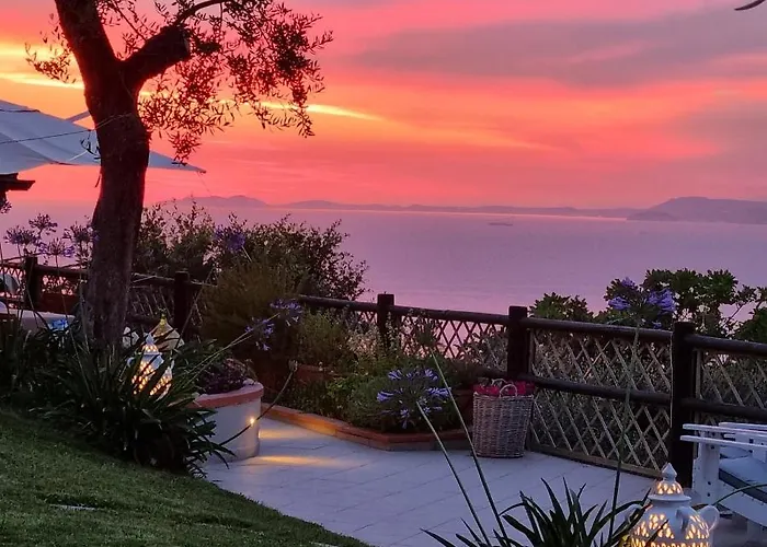 Olive - Moderno Tra Gli Ulivi Di