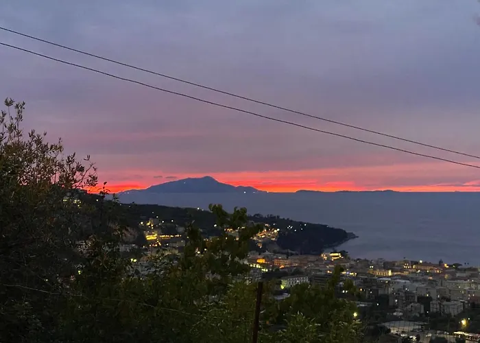 Olive - Moderno Tra Gli Ulivi Di