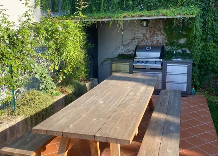 Olive - Moderno Tra Gli Ulivi Di *