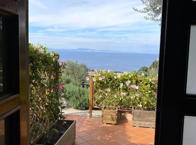 Olive - Moderno Tra Gli Ulivi Di Semesterbostad *