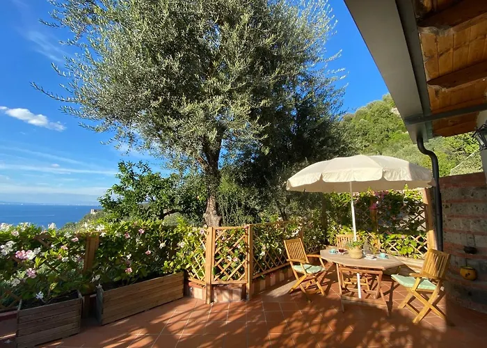 Semesterbostad Olive - Moderno Tra Gli Ulivi Di